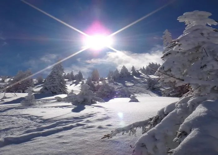 Lägenhet Alpine By Managers *