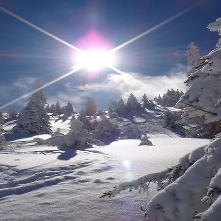 公寓 Alpine By Managers *